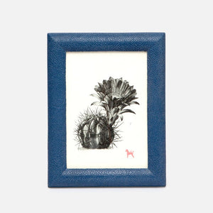 Pigeon & Poodle | Oxford Frame