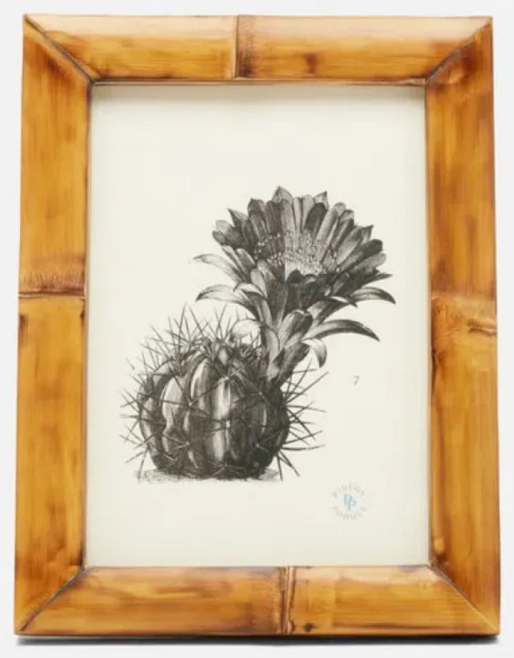 Pigeon & Poodle | Greely Bamboo Frame