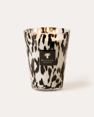 Baobab Grande Candle